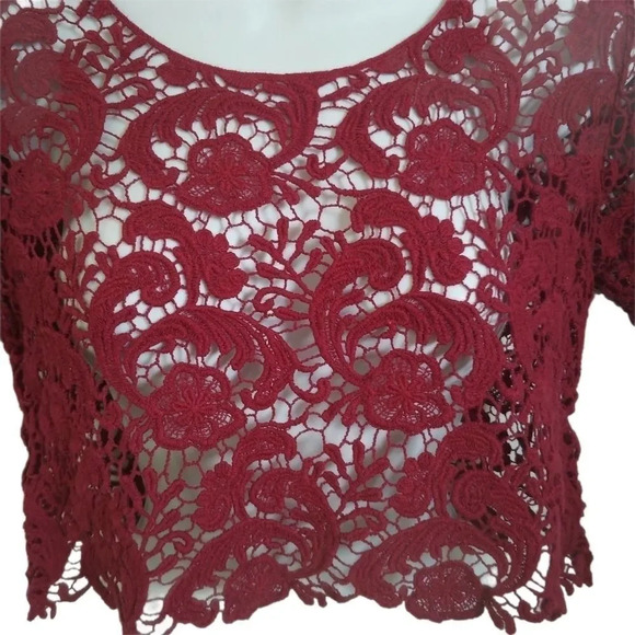Sexy What? Cropped Crocheted  Burgundy Top, M - Picture 3 of 8